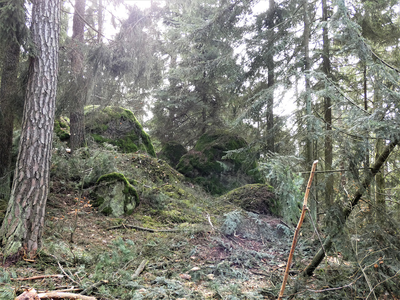 Felsformation am Schwarzerberg