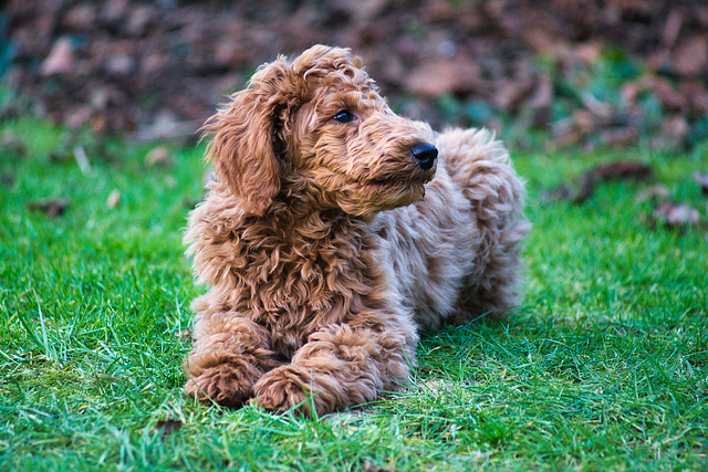 Unsere kleine Caro...