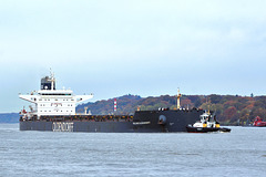 ROLAND OLDENDORFF ROLAND OLDENDORFF