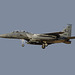 4th Fighter Wing McDonnell Douglas F-15E Strike Eagle 89-0481
