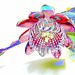 Passiflora alata revue et corrigée