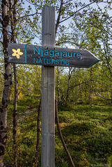 Start zum Njakajaure-Trail (© Buelipix)