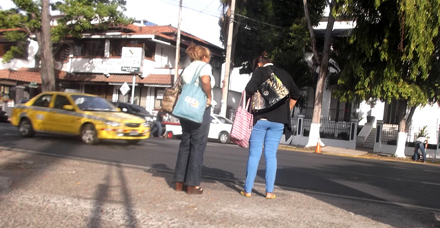 Bus stop shady duo (1)