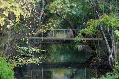 Le Cens , petite rivière du Loiret , qui se jette dans le canal d'Orléans .
