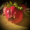 Autumn symphony.2