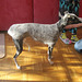felted coat for a whippet hound