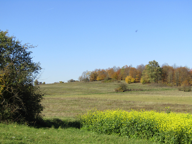 auf dem Münchshofener Berg