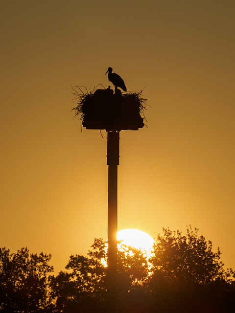 Sonnenaufgang