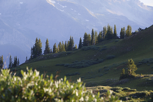 Evening in the Rockies