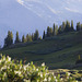 Evening in the Rockies