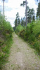 Views along the edge of the River Findhorn from the Sluie Walks' Loops on the Earl of Moray's Estate.