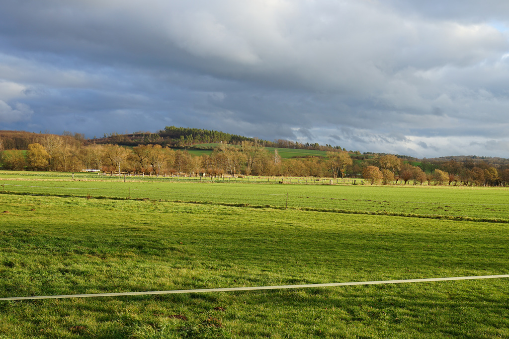 Blick zum großen Lohberg