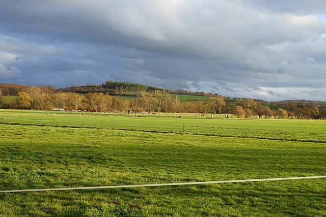 Blick zum großen Lohberg