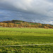 Blick zum großen Lohberg