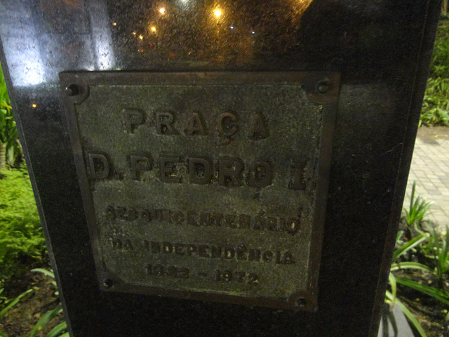 DSC09650