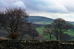 After a hailstorm - Kinderlow end