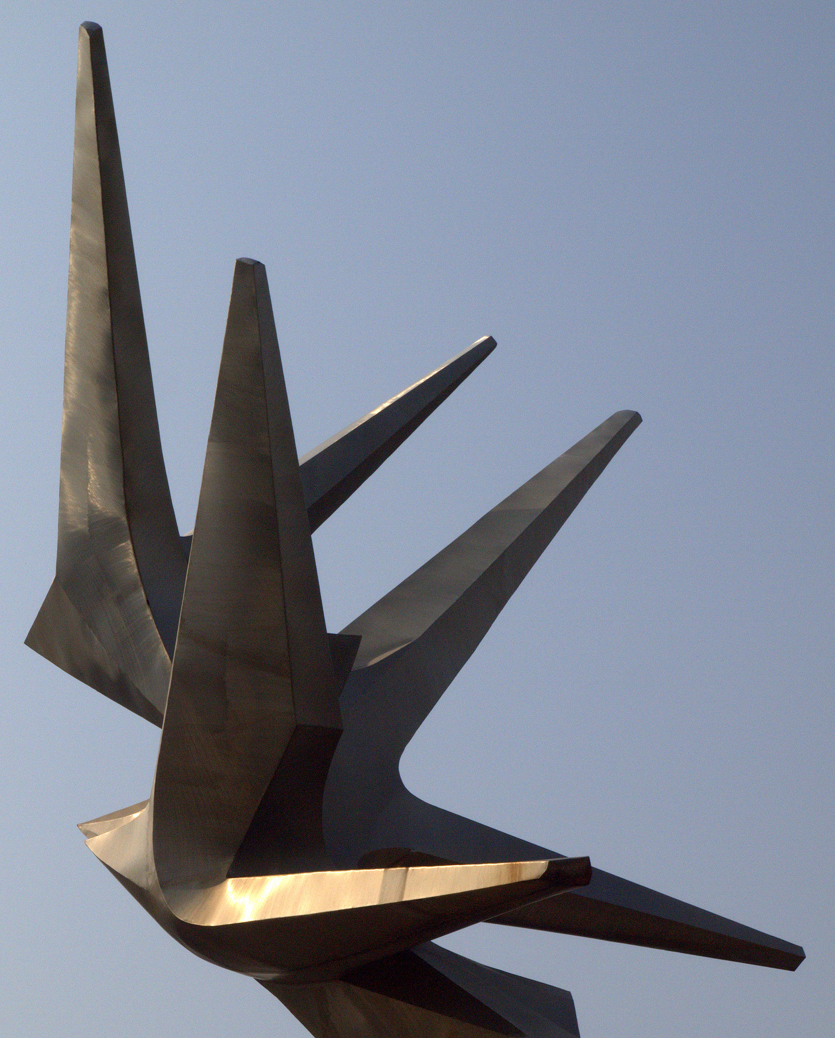 Birds of Freedom