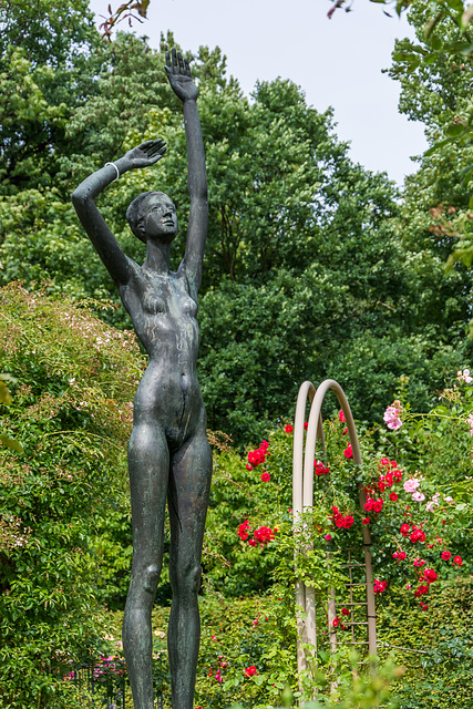 Im Rosengarten des Chemnitzer Stadtparks