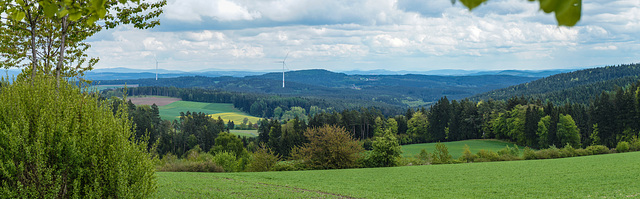 Bayerwaldblick