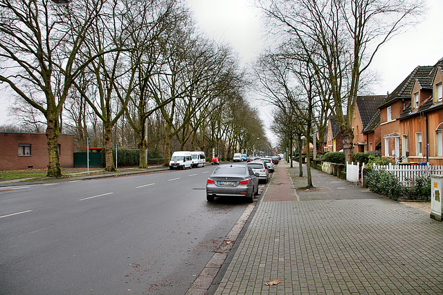 Teutoburger Straße (Oberhausen-Klosterhardt) / 20.01.2018