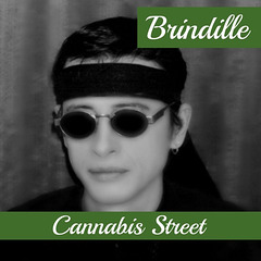 Légalisation du cannabis - Cannabis street  - Brindille