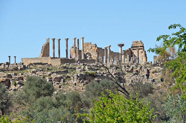 Das antike Volubilis