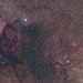 Cygnus area II (view on black)