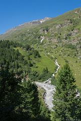 auf dem Zirbenweg bei Obergurgl (© Buelipix)