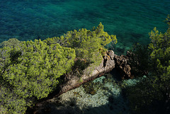 Portinho da Arrábida