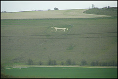 Pewsey White Horse
