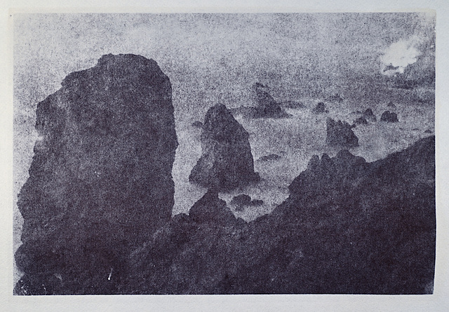 Gleason Overlook salt print