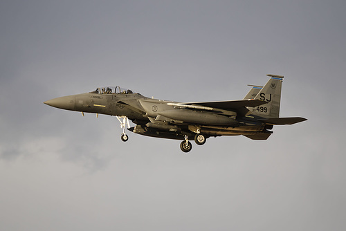 4th Fighter Wing McDonnell Douglas F-15E Strike Eagle 89-0499