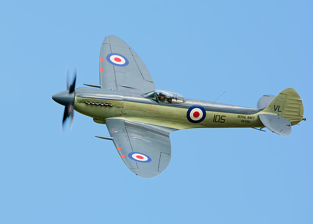 Supermarine Seafire Mk XVII