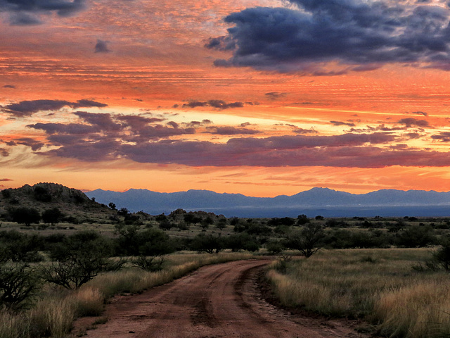 Huachuca Mountains