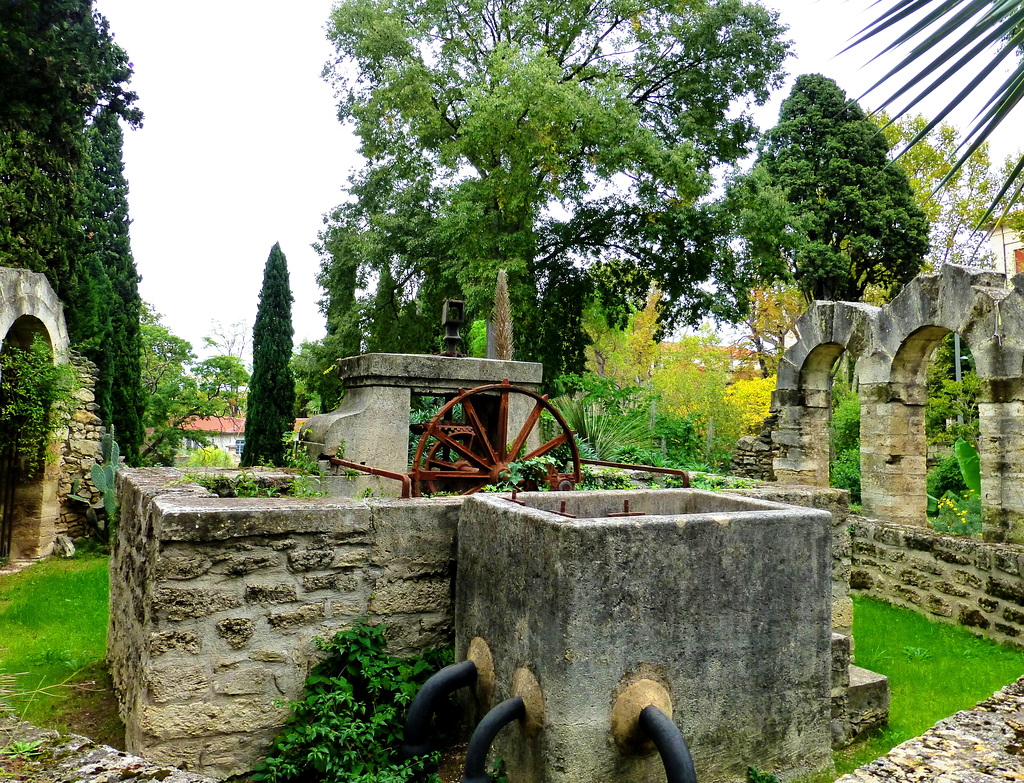 FR - Montpellier - Jardin des plantes