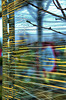 Plants stacked and wrapped in cellophane. Garden Centre