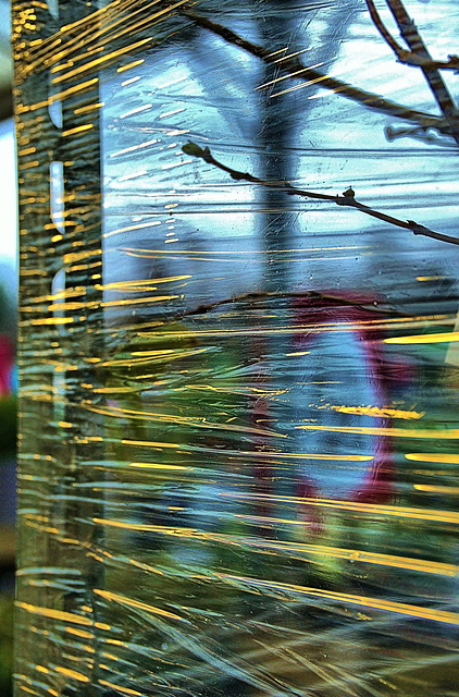 Plants stacked and wrapped in cellophane. Garden Centre