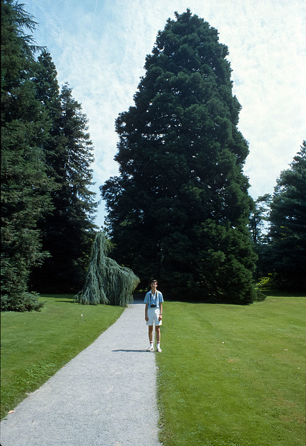 Mainau 0003