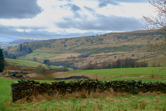 Cown Edge