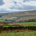 Cown Edge