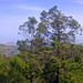 Teide National Park