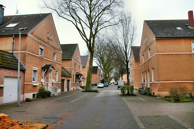 Birkenstraße (Oberhausen-Klosterhardt) / 20.01.2018