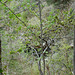 Views along the edge of the River Findhorn from the Sluie Walks' Loops on the Earl of Moray's Estate.