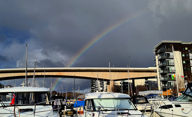 Marina Rainbow