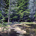 Dream Lake - Rocky Mountain National Park