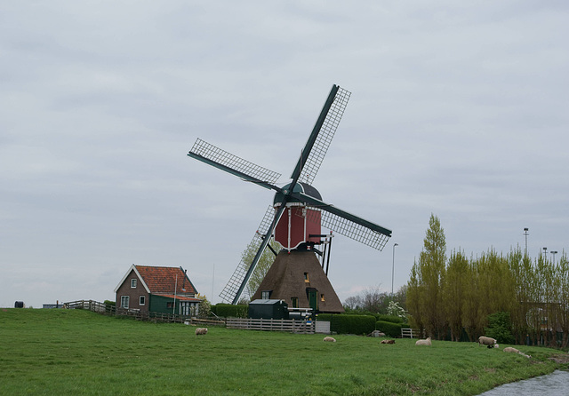 Vlietmolen