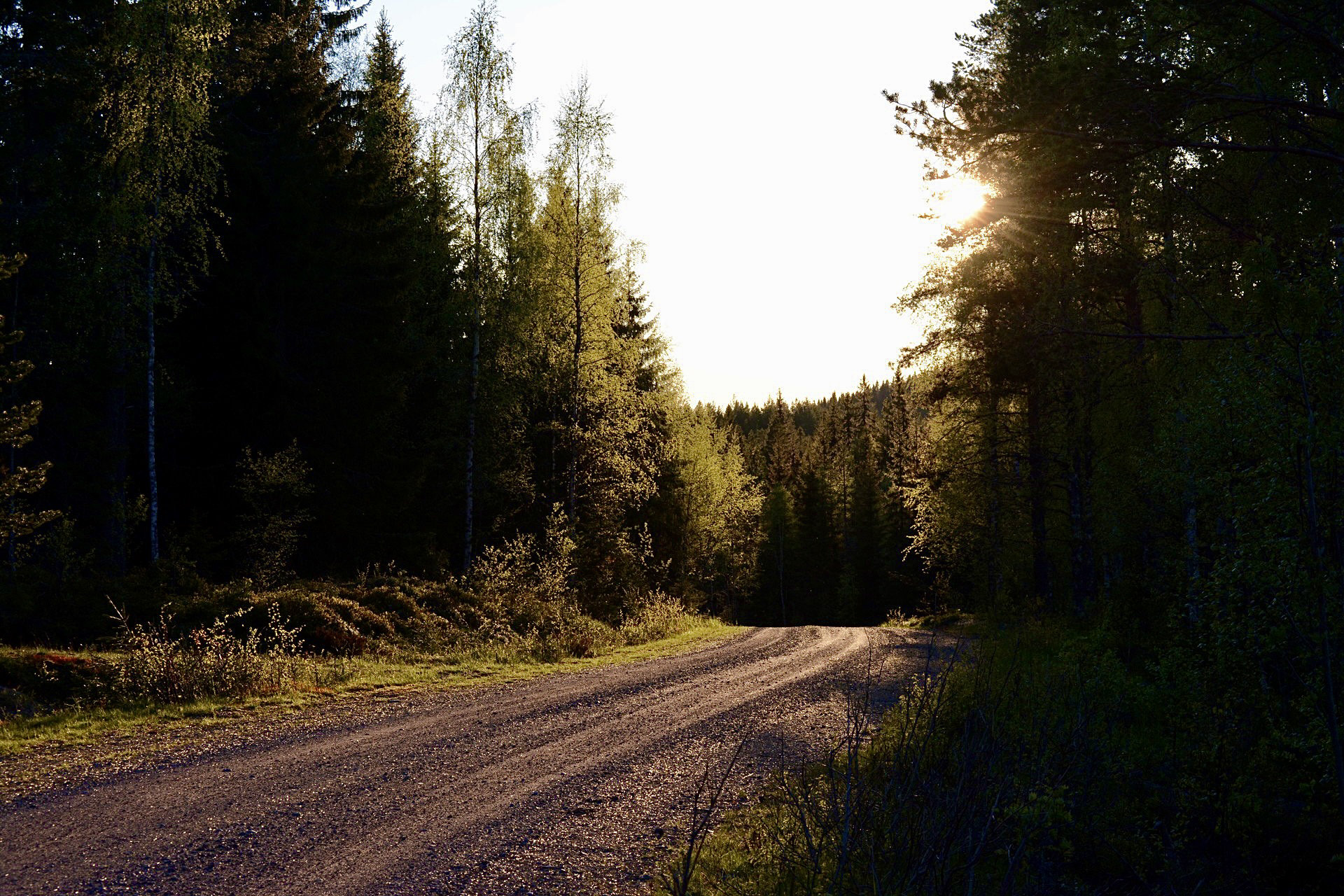 Irgendwo abends in Schweden