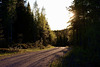 Irgendwo abends in Schweden