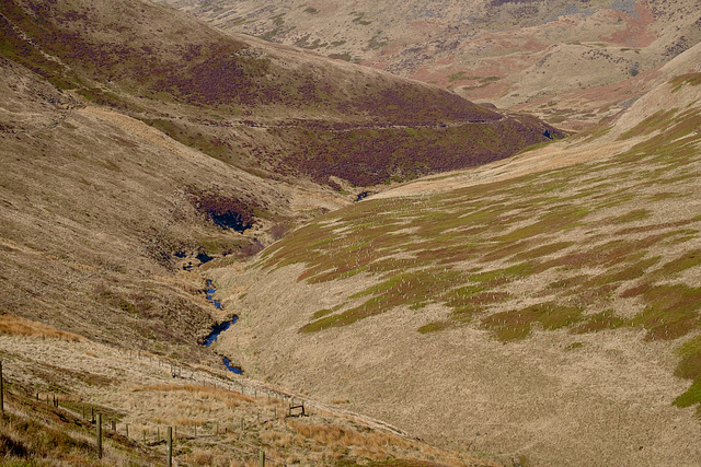 Shelf Brook below Gathering Hill