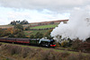 Gresley LNER class A3 60103 FLYING SCOTSMAN climbing up to Abbots House with the 11.40 Grosmont - Pickering 25th October 2025.